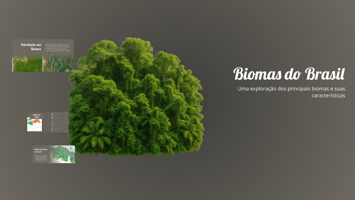 Biomas do Brasil by Davi de Araújo on Prezi