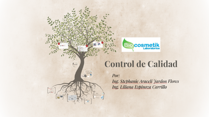 Control de Calidad by on Prezi