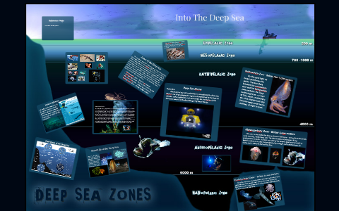 Into The Deep.. Sea by Amanda Rivas on Prezi