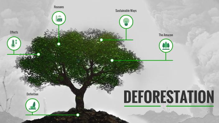 oral presentation on deforestation