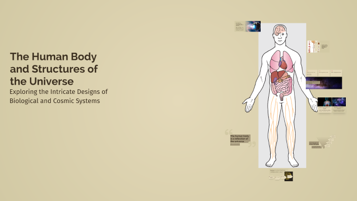 The Human Body and Structures of the Universe by Yücel Yılmaz on Prezi