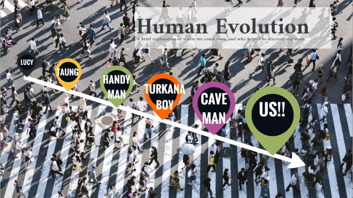 Human Evolution Timeline by Gabrielle Bartlett on Prezi
