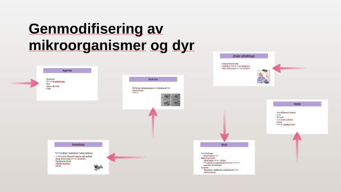 Genmodifisering Av Organismer Og Dyr By Hihi Elel On Prezi genmodifisering-av-organismer-og-dyr-by-hihi-elel-on-prezi