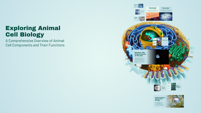 Exploring Animal Cell Biology by Hassan Douma on Prezi