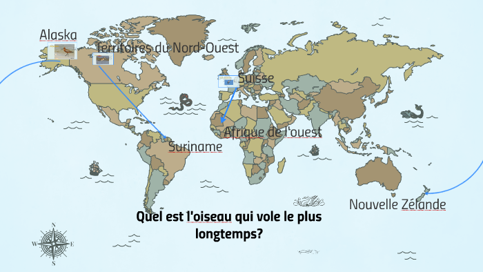 Quel Est L Oiseau Qui Vole Le Plus By Thomas Gagnon On Prezi