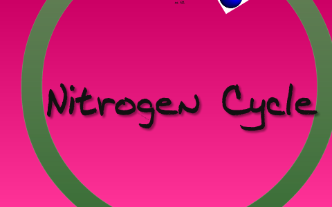Nitrogen cycle by Maria Mercedes Martinez on Prezi
