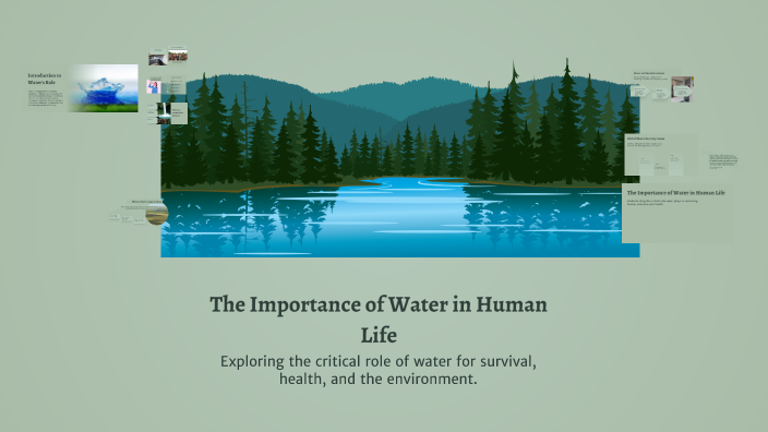 The Importance of Water in Human Life by ALIABIEV ILLIA on Prezi