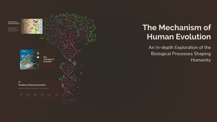 The Mechanism of Human Evolution by Elzbieta Kowalczyk on Prezi