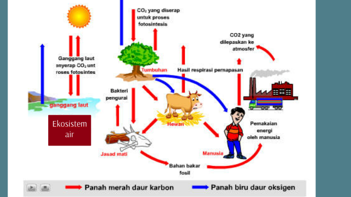 Daur 02 dan CO2 by Victor Pandutama on Prezi