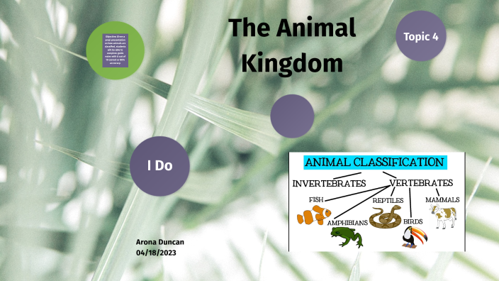 Introduction to the Animal Kingdom by Arona Duncan on Prezi