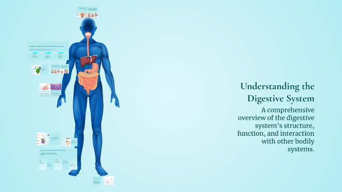 Understanding the Digestive System by Marvina Gress on Prezi