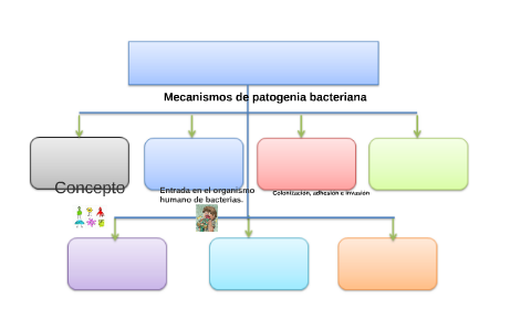 mecanismos de patogenia bacteriana by Leandro Carrera on Prezi