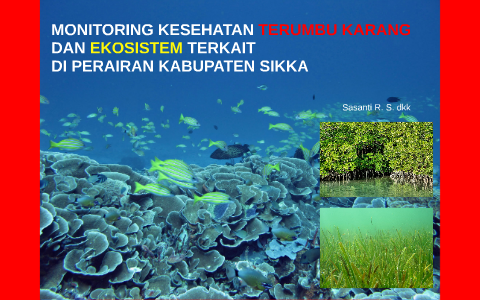 MONITORING KESEHATAN TERUMBU KARANG by kunto wibowo on Prezi