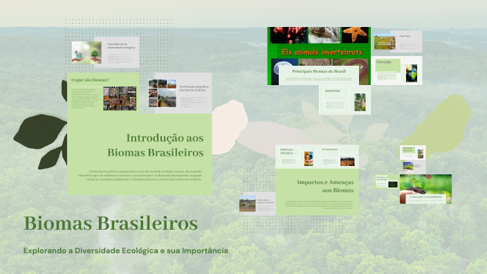 Biomas Brasileiros by mariaalice amaral on Prezi