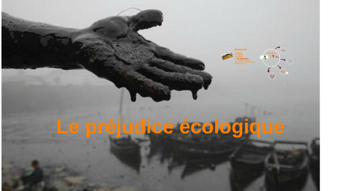 Le préjudice écologique by Sissy Sophie