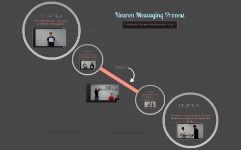 Neuron Messaging Process by Alynn Stauffer on Prezi