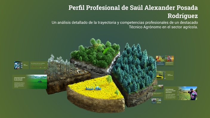 Perfil Profesional de Saúl Alexander Posada Rodríguez by saul posada on ...