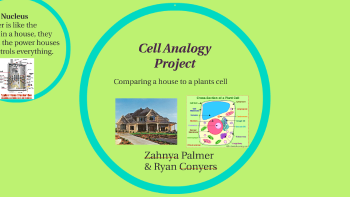 Cell Analogy Project By Zahnya P On Prezi 3562