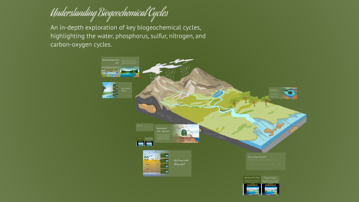 Understanding Biogeochemical Cycles by loredel alicante on Prezi