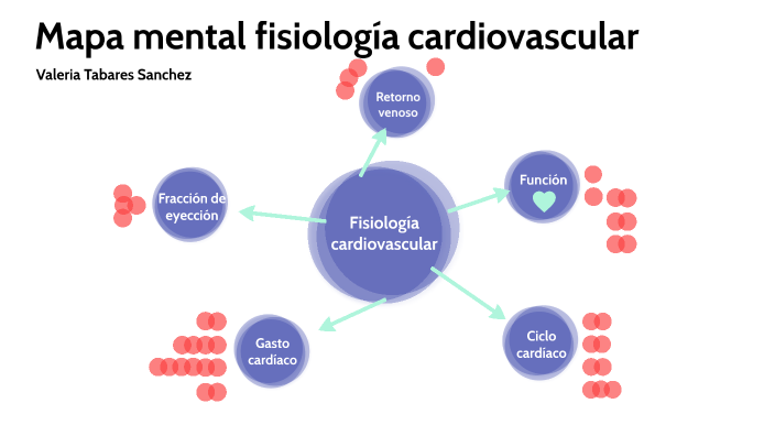 FISIOLOGÍA CARDIO VASCULAR by Valeria Tabares Sanchez on Prezi Next