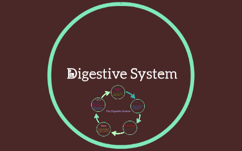 Digestive System by Dina Abdul-Wahab on Prezi