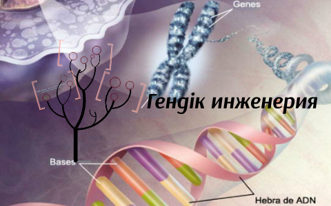 Гендік инженерия және биотехнология. Гендік инженерия. Гендік инженерия деген не. Биотехнология жана Гендик инженерия кыргызча. Книга внутренняя инженерия,и ее рисунки.