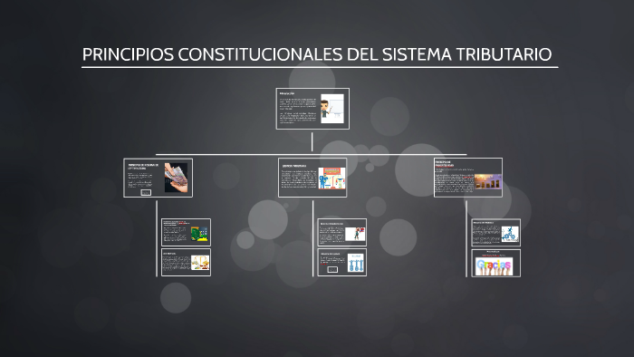PRINCIPIOS CONSTITUCIONALES DEL SISTEMA TRIBUTARIO by Benjamín Ferrer