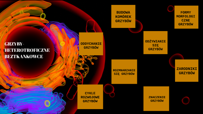 BIOLOGIA PREZENTACJA by Gabriela Berdychowska on Prezi