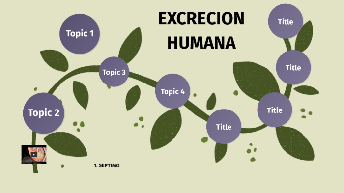 EXCRECION HUMANA by ivonne pita on Prezi