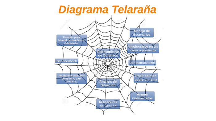 Organizador Grafico Telarana En Que Consiste Y Caracteristicas Images 8904