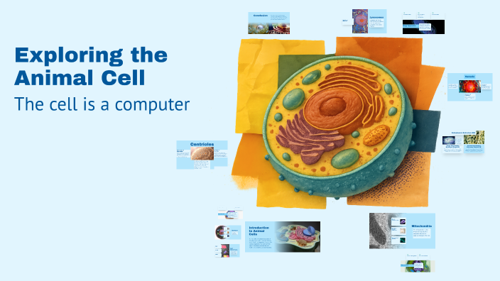 Exploring the Animal Cell by Xander Boyer on Prezi