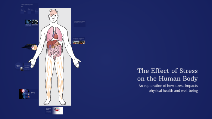 The Effect of Stress on the Human Body by Abram Evans on Prezi