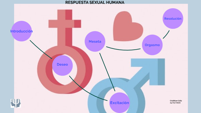 Respuesta Sexual Humana By Cristhian Cáliz 7145