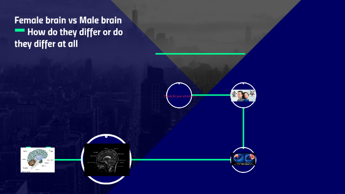 Female brain vs Male brain by Alexandra Kowalczyk on Prezi