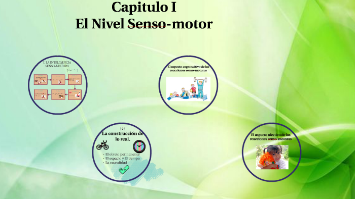 El Nivel Senso Motor By Steffany Grimaldo Cotera On Prezi