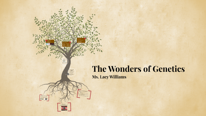 Genetic Diversity by Lacy Williams on Prezi