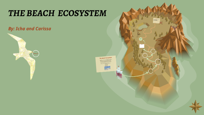 THE BEACH ECOSYSTEM by on Prezi