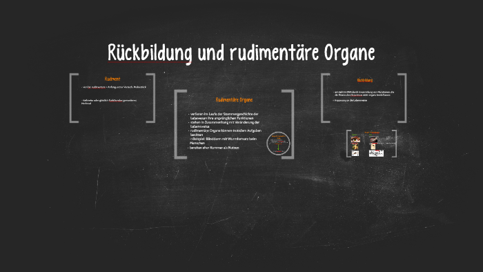 Rückbildung und rudimentäre Organe by Alexander Böge on Prezi