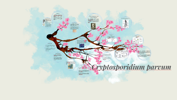 caracteristicas del ooquiste de cryptosporidium