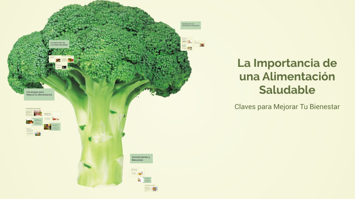 La Importancia de una Alimentación Saludable by alexia paez morales on ...