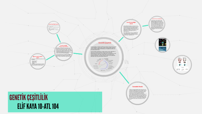 GENETİK ÇEŞİTLİLİK by elif kaya on Prezi