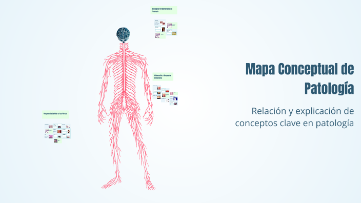 Mapa Conceptual de Patología by Maria Alejandra Pinzon Herrera on Prezi