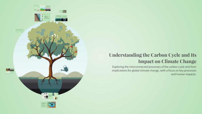 Understanding the Carbon Cycle and Its Impact on Climate Change by Adam ...