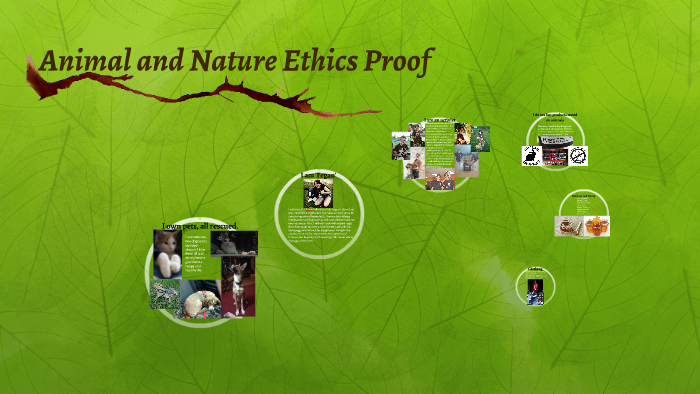 Ethical Proof Animal and Nature Ethics Proof by Stat Lang on Prezi