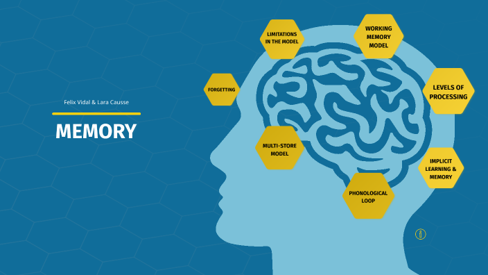 Memory Presentation - Basic Processes - 2021 by Félix VIDAL on Prezi