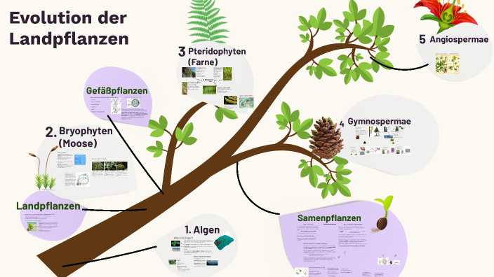 evolution-der-landpflanzen-by-clemens-anna-grabner-on-prezi