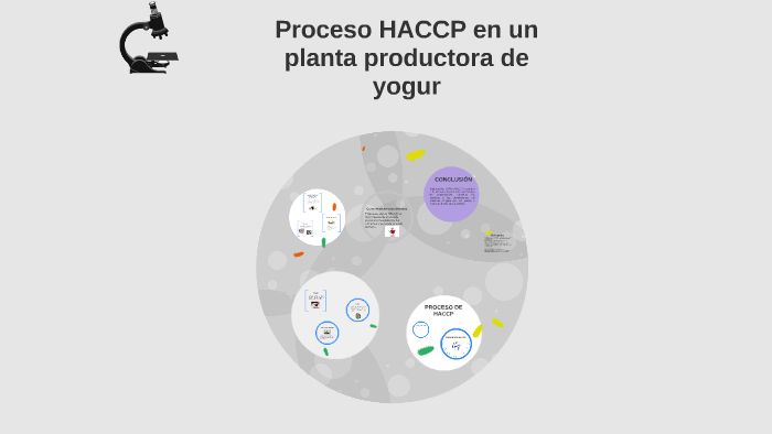 Manual Haccp Para Yogurt