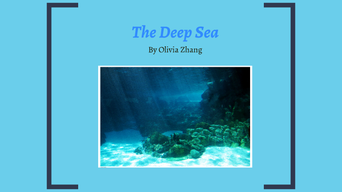 Deep Sea by Olivia Zhang on Prezi