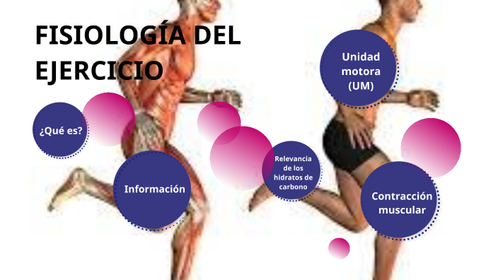 Tema 10. Fisiología del ejercicio by Inés Martínez Barrón on Prezi