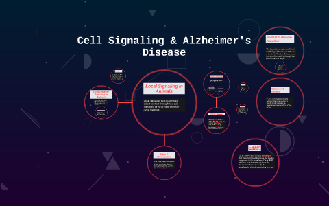 Cell Signaling & Alzheimer's Disease by Karla Green